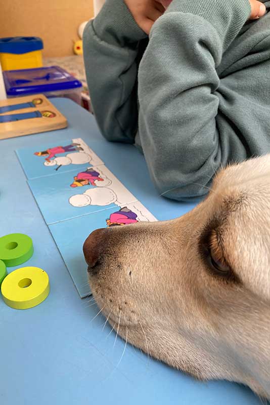 terapia-asistida-animales escala-iris