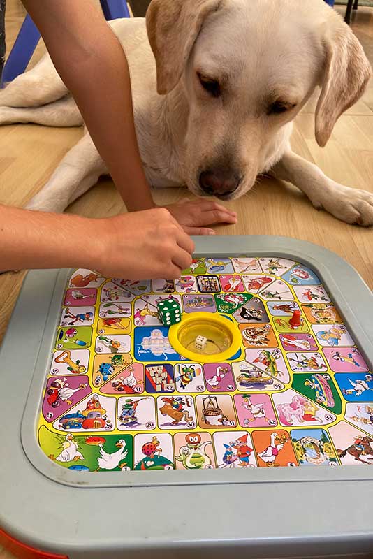 terapia-asistida-animales escala-iris